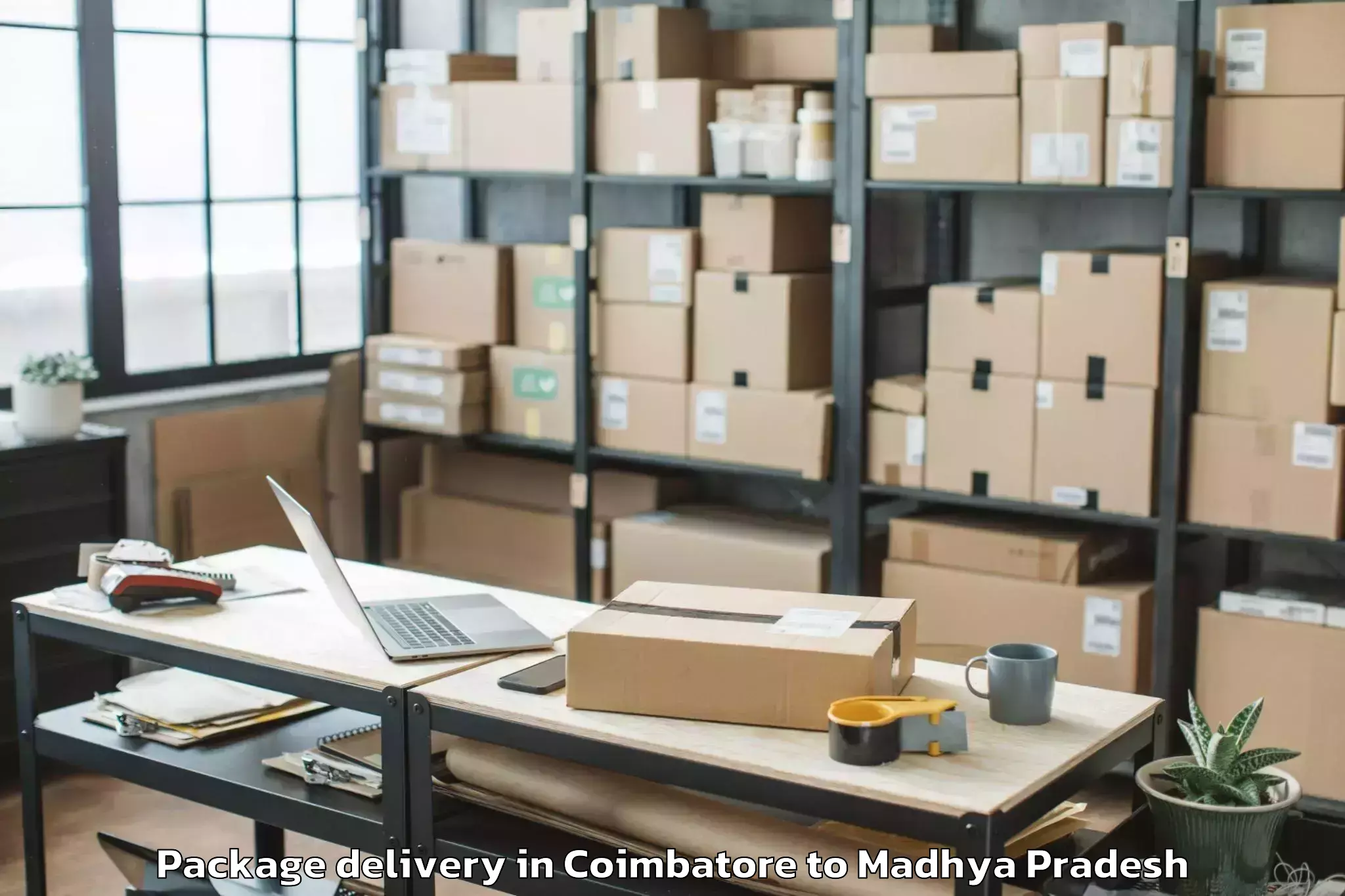 Book Your Coimbatore to Rkdf University Bhopal Package Delivery Today